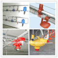 Full Set High Quality Automatic Poultry Equipment for Broiler